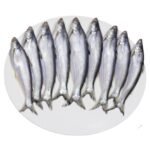 BACHA FISH 500G BLOCK