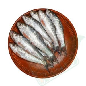 BATA FISH 500G BLOCK