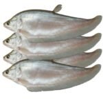 FOLY FISH 500G BLOCK