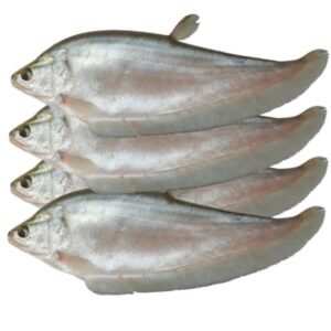 FOLY FISH 500G BLOCK