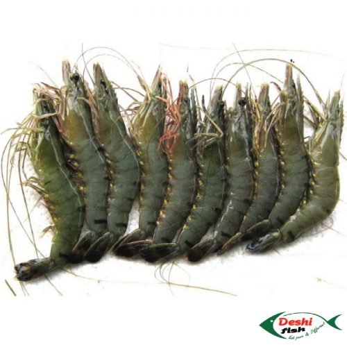 Bagda Chingri ( বাগদা চিংড়ি )